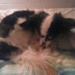 Meet your Posher, Christin